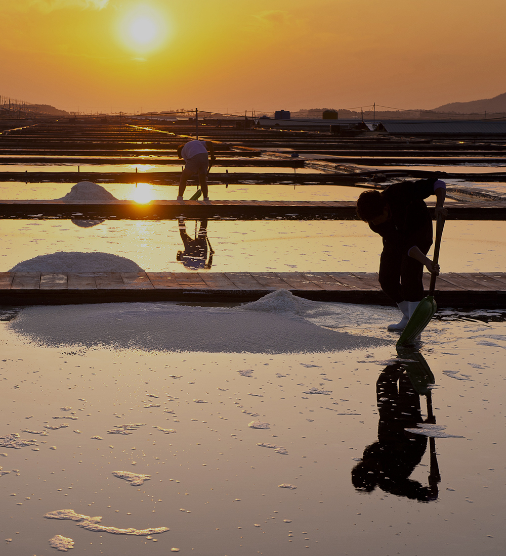 �����ұ� �λ縻