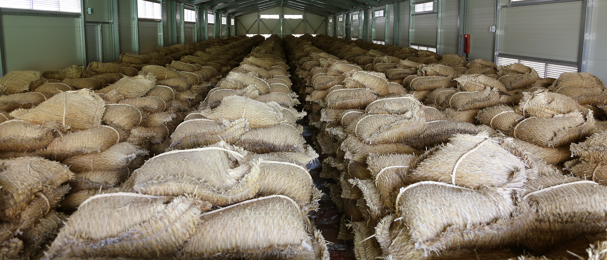 �����ұ�