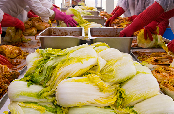 �����ұ�