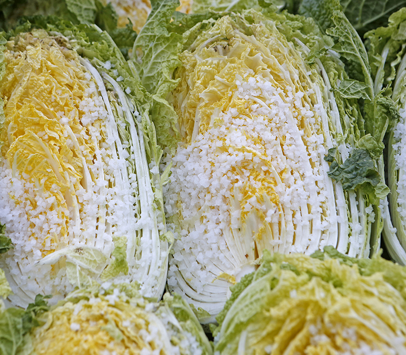 �����ұ�