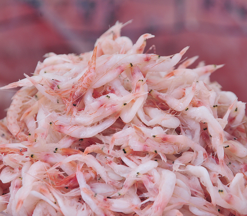 �����ұ�